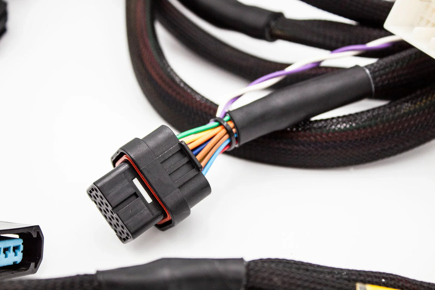 FuelTech FT450 Engine Harness – K20 / K24 Street-Spec TXL | VTI